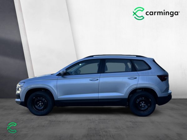 Skoda Karoq linke Seite Auto Abo